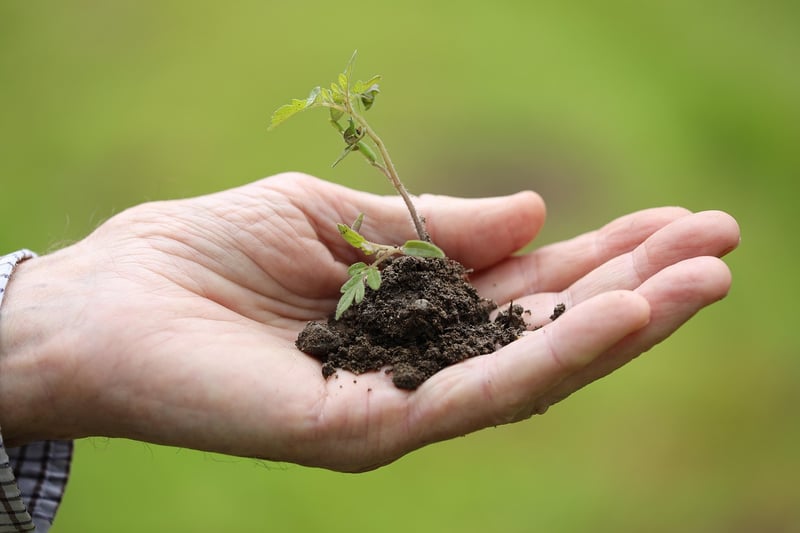 Planting in small spaces