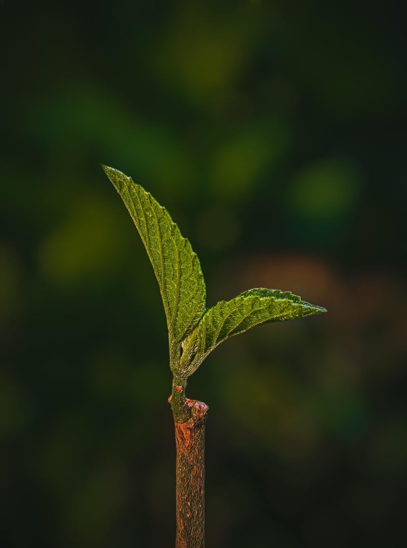 Vertical plant decor