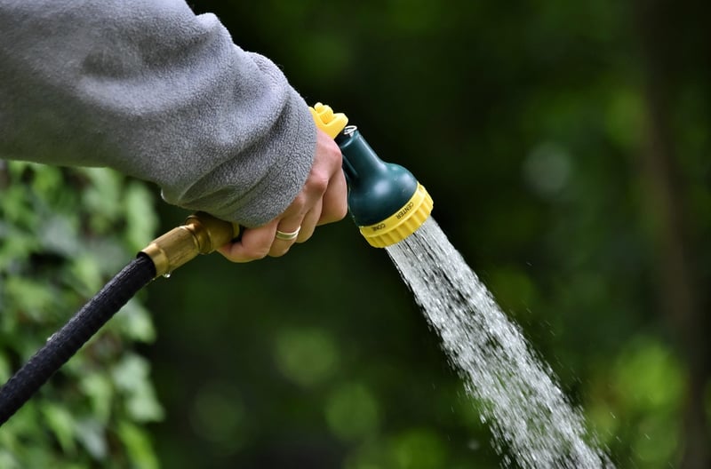 Watering strategies